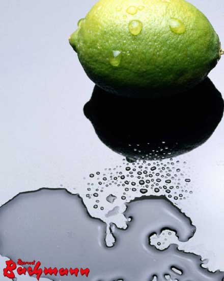 Qualit&auml;t und Frische